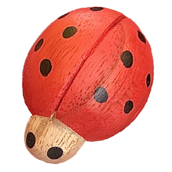 Papoose Toys Papoose Toys Rode Lieveheersbeestjes 7st