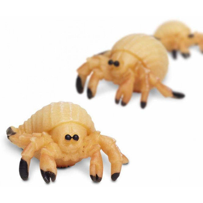 Heremietkreeften speelset 2,5 cm 192-delig