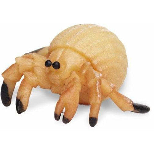 Heremietkreeften speelset 2,5 cm 192-delig