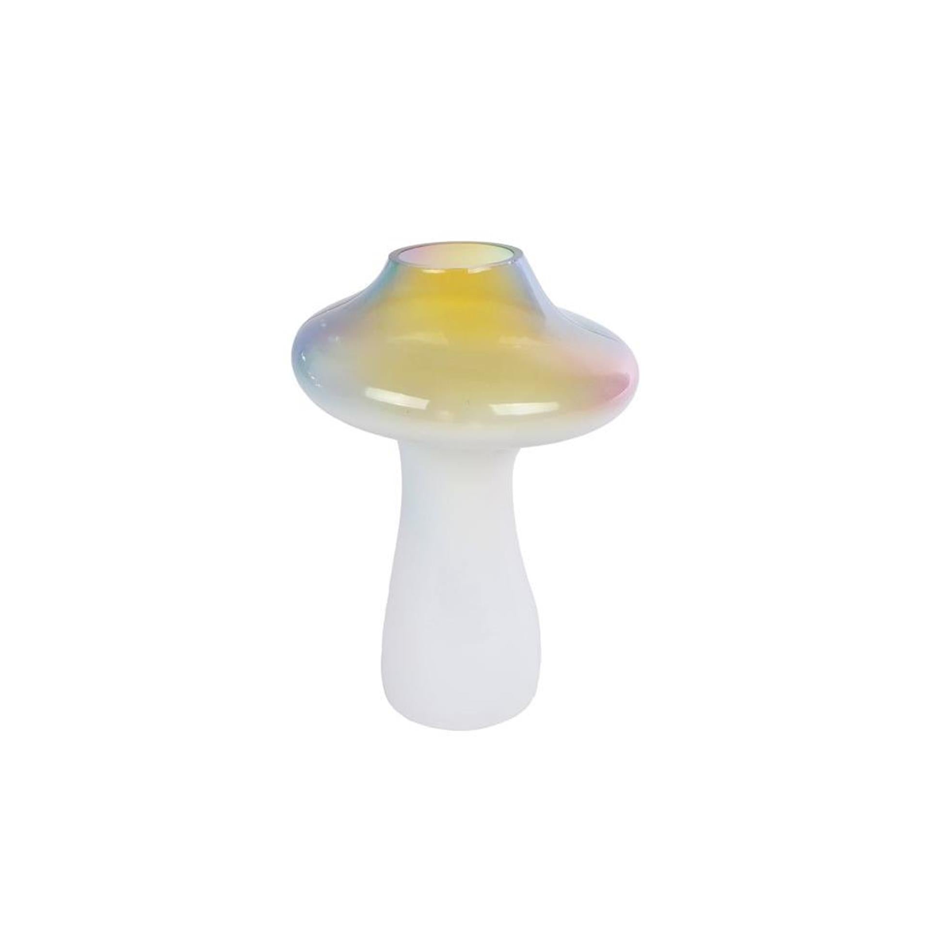 Cosydecor beeld paddenstoel rainbow l glas
