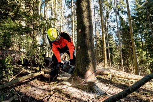 Metabo accu-kettingzaag | ms 36-18 ltx bl 40 | zonder accu en lader - 601613850