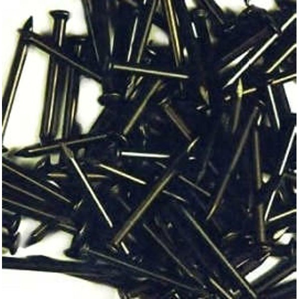 Hoenderdaal fasteners producten staalspijkers a 100st 2 5x60