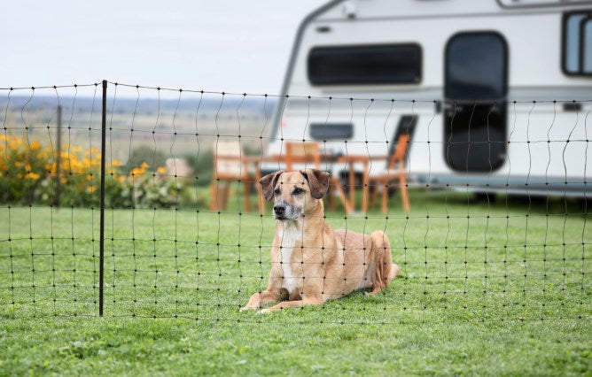 Ako producten campingnet 20meter 80cm groen dubbele pen