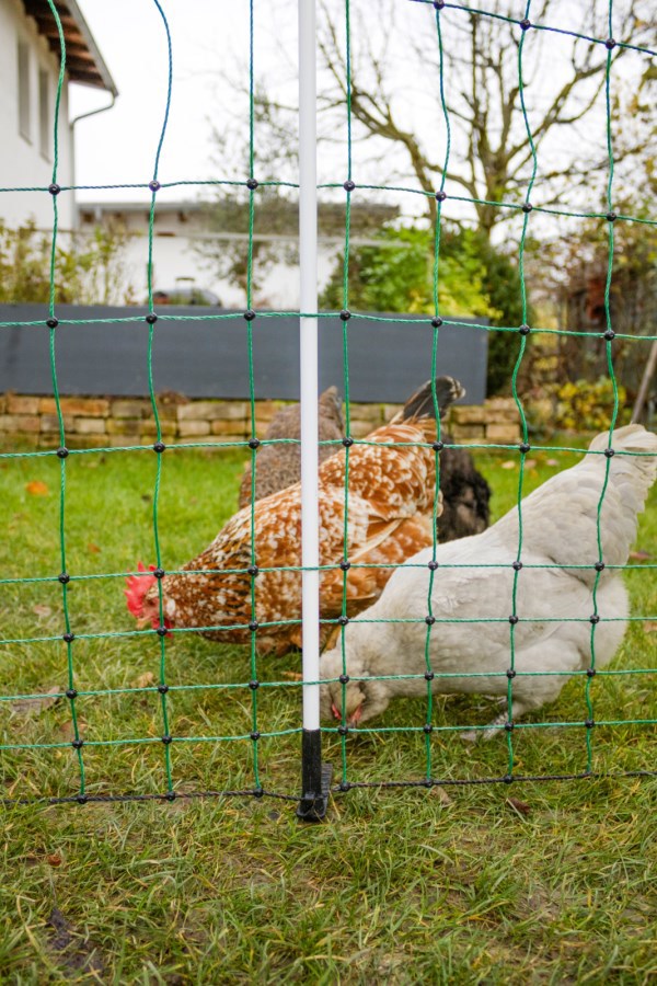 Ako producten kippennet maxi 122cm 25m dubbele pen groenwit