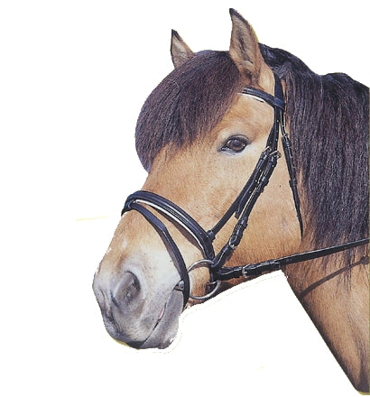 Producten hoofdstel standard leer zwart pony