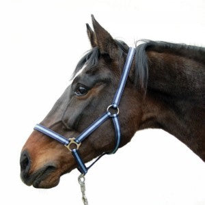 Abi producten hippo halster blauw 00 veulenmini shetland