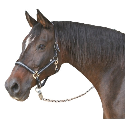 Abi producten mustang halster 2x verst zwartzilver 1 pony