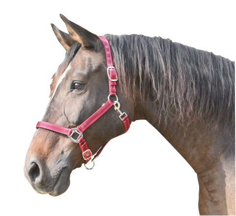 Abi producten mustang halster 2x verst roodzwart 3 full