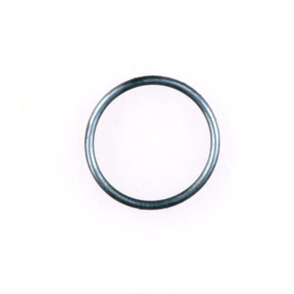 Gloria o ring 501540