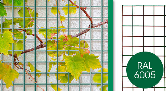 Giardino producten bologna draadpaneel 5x5cm x 150cm x 80cm ral 6005 groen