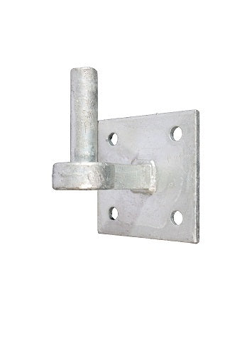 Waelbers producten duim rond19mm op plaat 10x10 fv