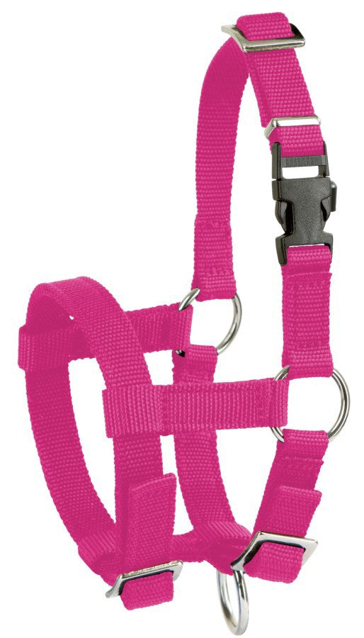 Alpaca halster roze