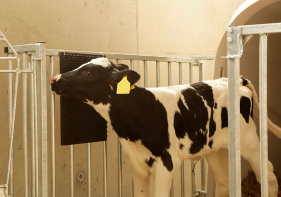 Abi krabkussen v zuil en wandmontage 30 x 40cm