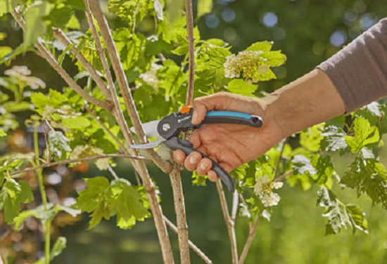 Gardena snoeischaar supercut vers hout