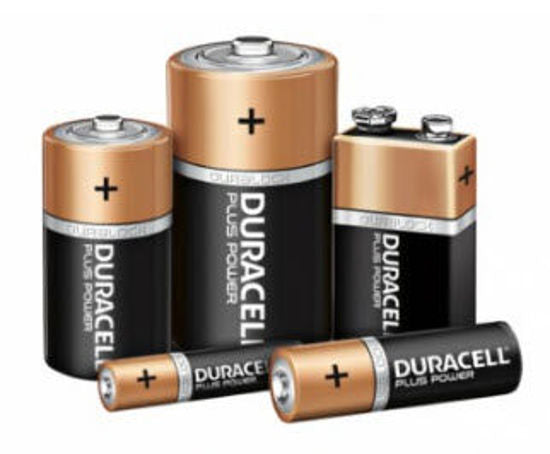 Duracell - batterij Plus 100% extra levensduur MN1400 LR14 C BP2