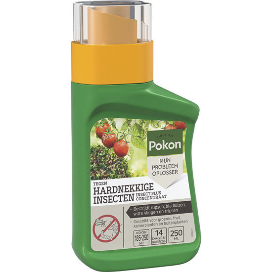 Kb bestrijding pokon tegen insecten hardnekkige concentraat 250ml insect p