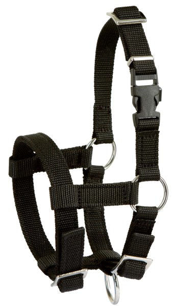 Alpaca halster zwart