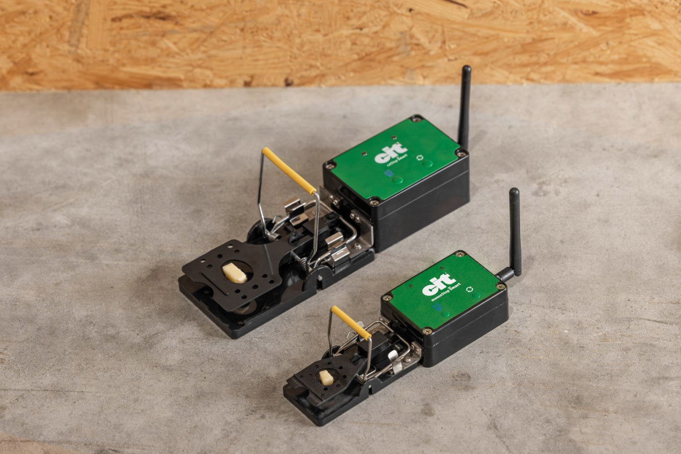 Rattenval smart cit ratstop