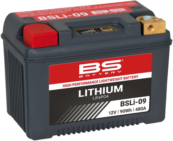 Bs-battery lifepo4 batterij bsli-09 battery li09 bs lithium