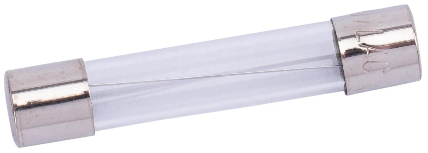Spahn glassicherung glass fuses 10a 6x32 mm (10pcs)