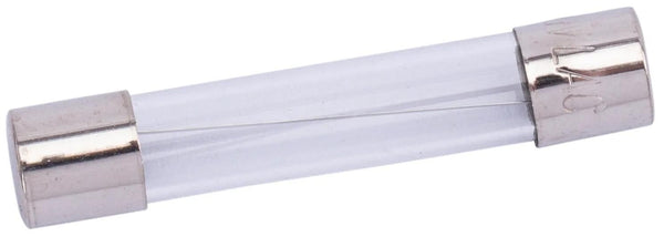 Spahn glaszekering glass fuses 10a 6x32 mm (10pcs)