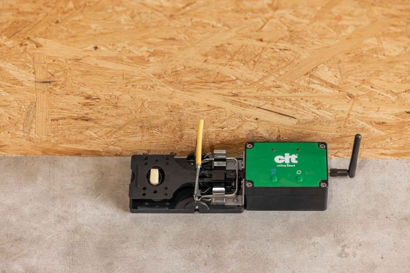 Rattenval smart cit ratstop