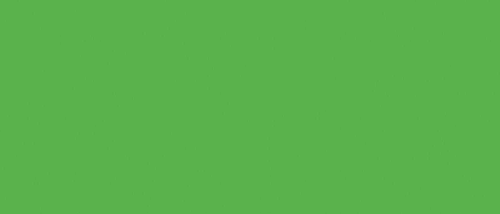 Tsukineko • radiant neon stempelkussen electric green