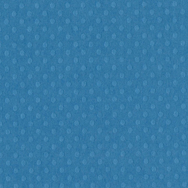 Bazzill • dot swiss 30,5x30,5cm surfs up