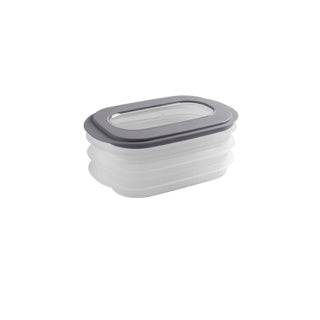Sunware sigma home vleeswarendoos - 26.5x17.2x10.5 cm - transparant grijs
