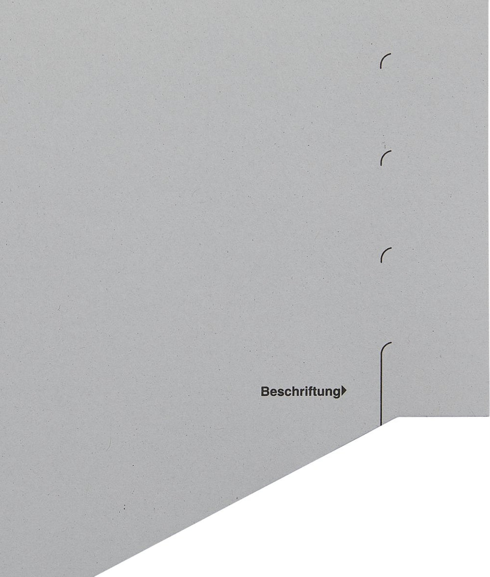 Leitz scheidingstabblad karton 100 stuks a4 11-rings grijs