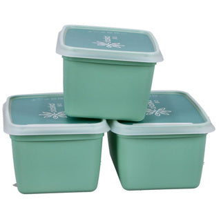 Dbp alaska 3 diepvriesdozen rechthoekig 1.00 l | 2 stuks