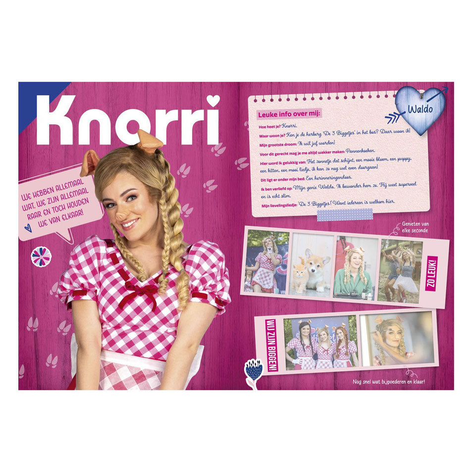 Studio 100 k3: 3 biggetjes fanboek met stickers