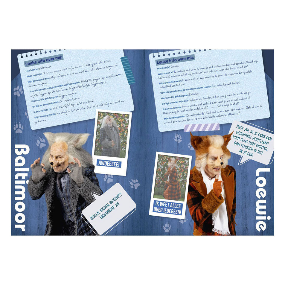 Studio 100 k3: 3 biggetjes fanboek met stickers