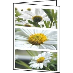 Wenskaarten sigel dc171 bloemen universal 220 g m² assorti 25 stuks