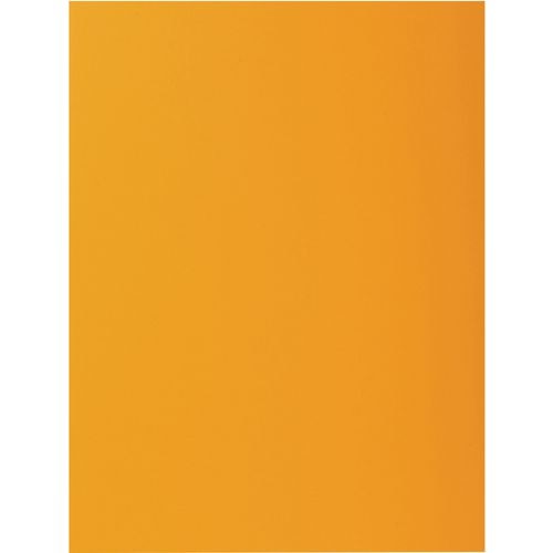Dossiermap exacompta 217126e a4 karton
