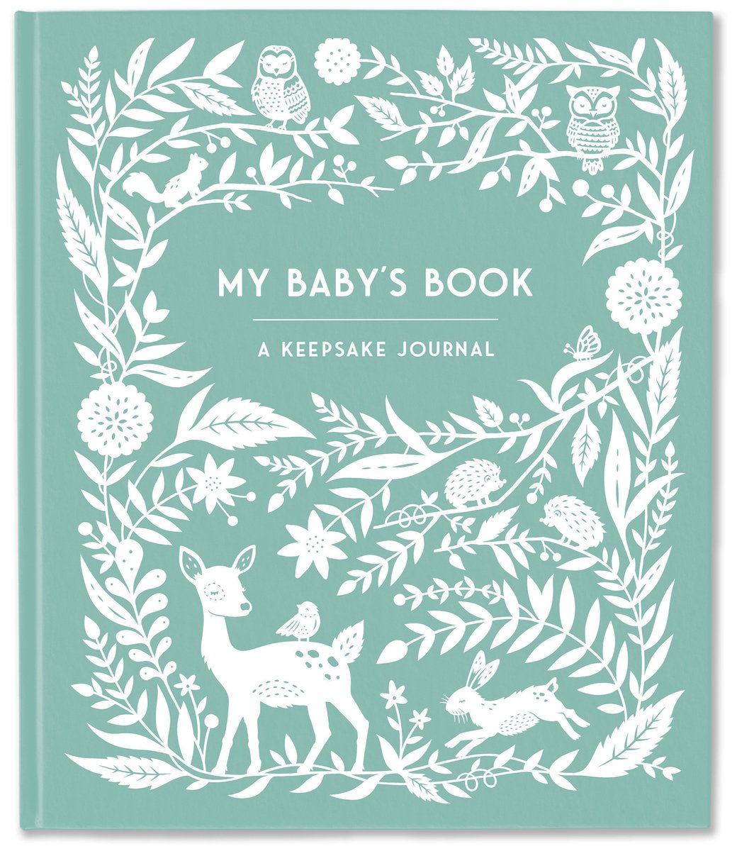 Keepsake legacy journals- my baby's book