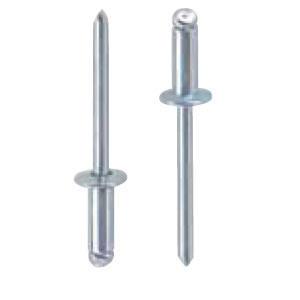 Masterfix popnagel 3.2x12mm st st (500)