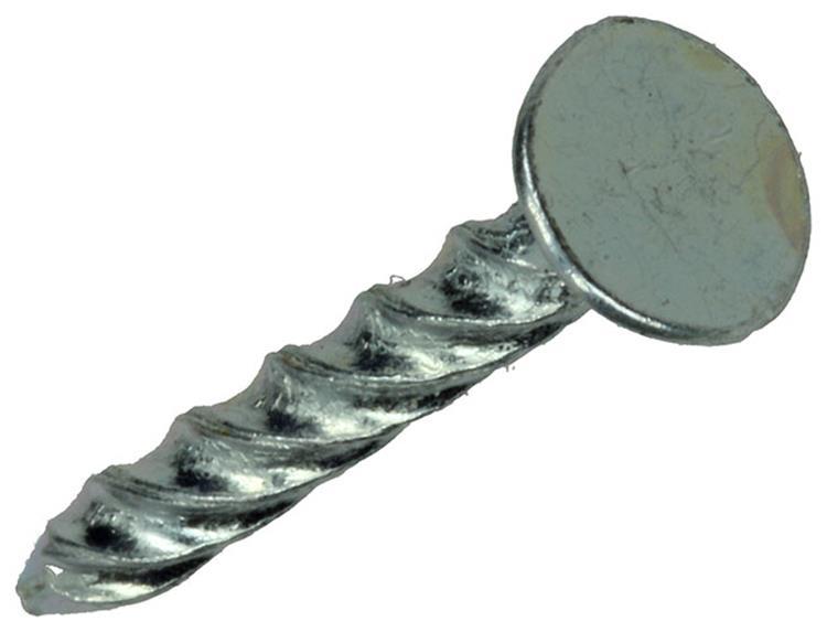 1013896 - 1 kg schroefspijkers verzinkt 3,8x32mm | 4 stuks