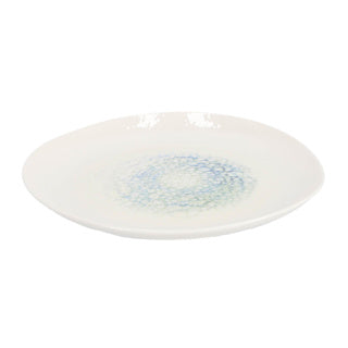 Palmer organisch mineralis bord ø 25 cm aqua