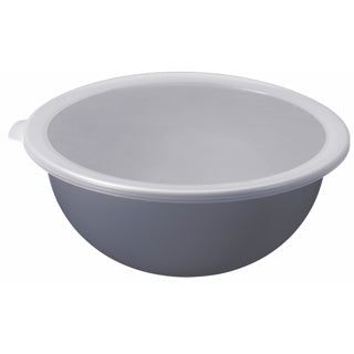 Rotho schaal met deksel 4,8 l horizon blauw | 2 stuks