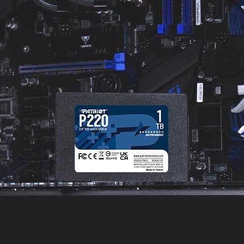 Patriot P220 1TB