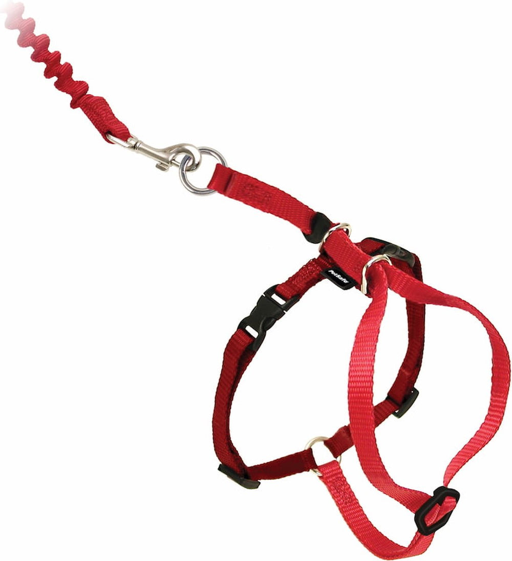 Petsafe easy walk cat harness met bungee leash - tuigje voor het uitlaten van je kat - rood of blauw - s m l - kleur: rood, maat: large 33-46 cm