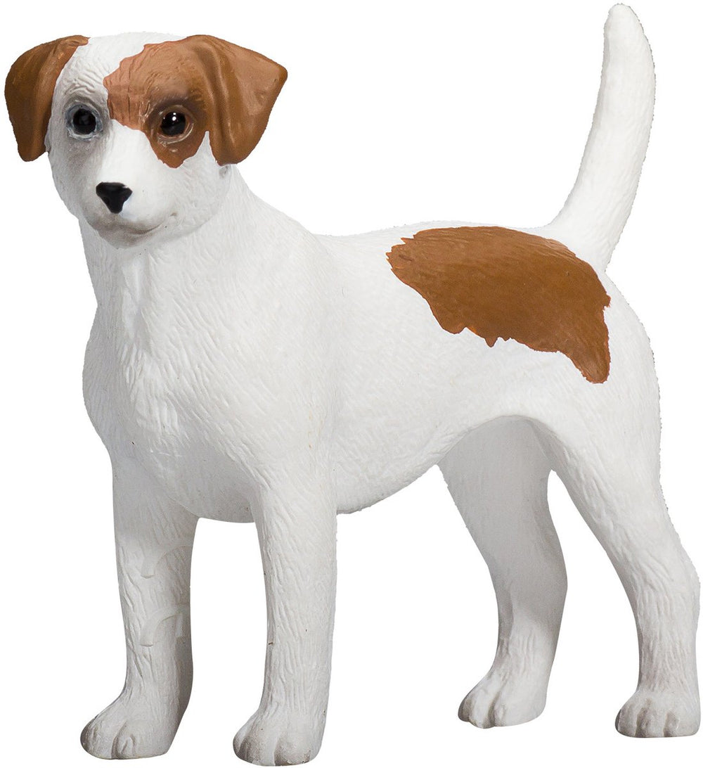 Mojo Landbouwgrond Jack Russell Terriër - 387286