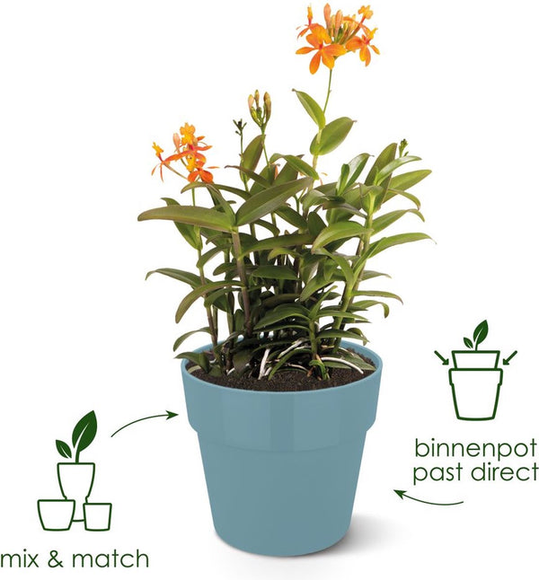 Elho b.for original rond 22 - bloempot voor binnen - 100% gerecycled plastic - ø 22.0 x h 20.3 cm - wit