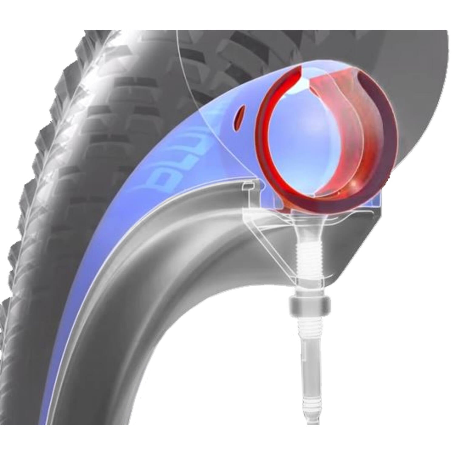 Schwalbe - guide d'air procore adapté pour 26 27,5 29 pouces