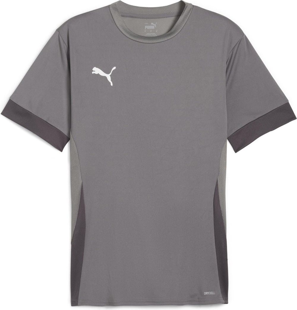 Puma teamgoal matchday jersey heren sportshirt - cast iron- white-shadow gray