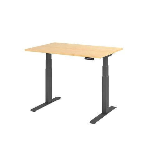 Bach zit-sta-bureau hammerer vxdkb12 3 g multikleur 1200 x 800 mm