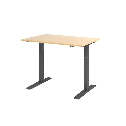 Bach zit-sta-bureau hammerer vxmka12 3 g multikleur 1200 x 800 mm