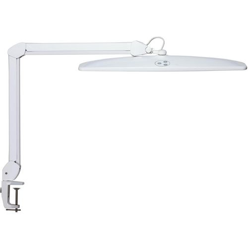 Bureaulamp maul 8205602 maulexplore wit