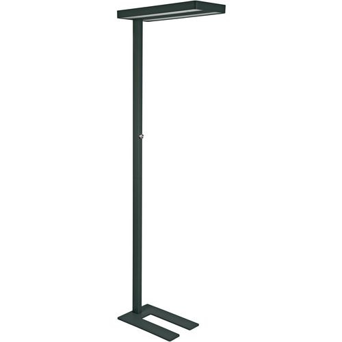 Vloerlamp maul 8258490 mauljaval zwart